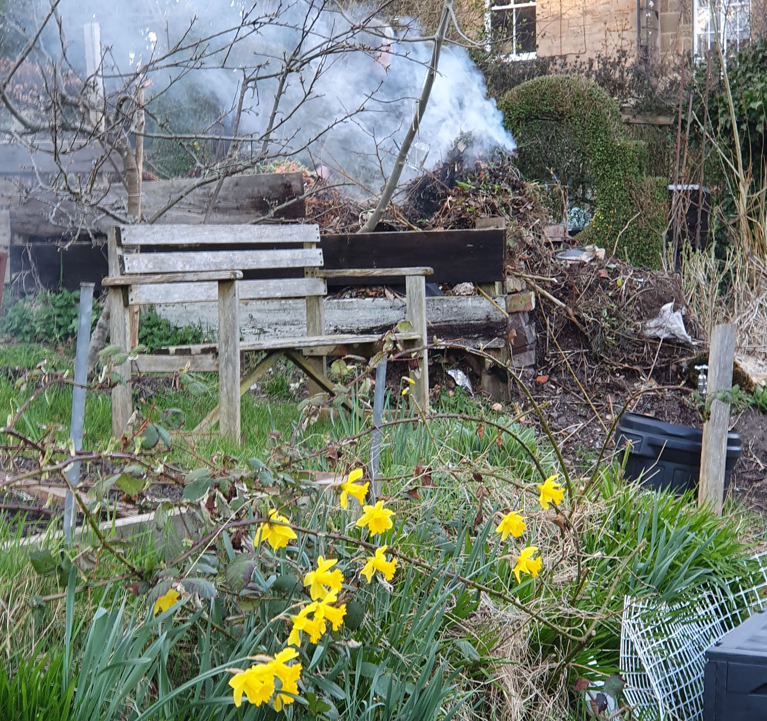 Bonfire in spring