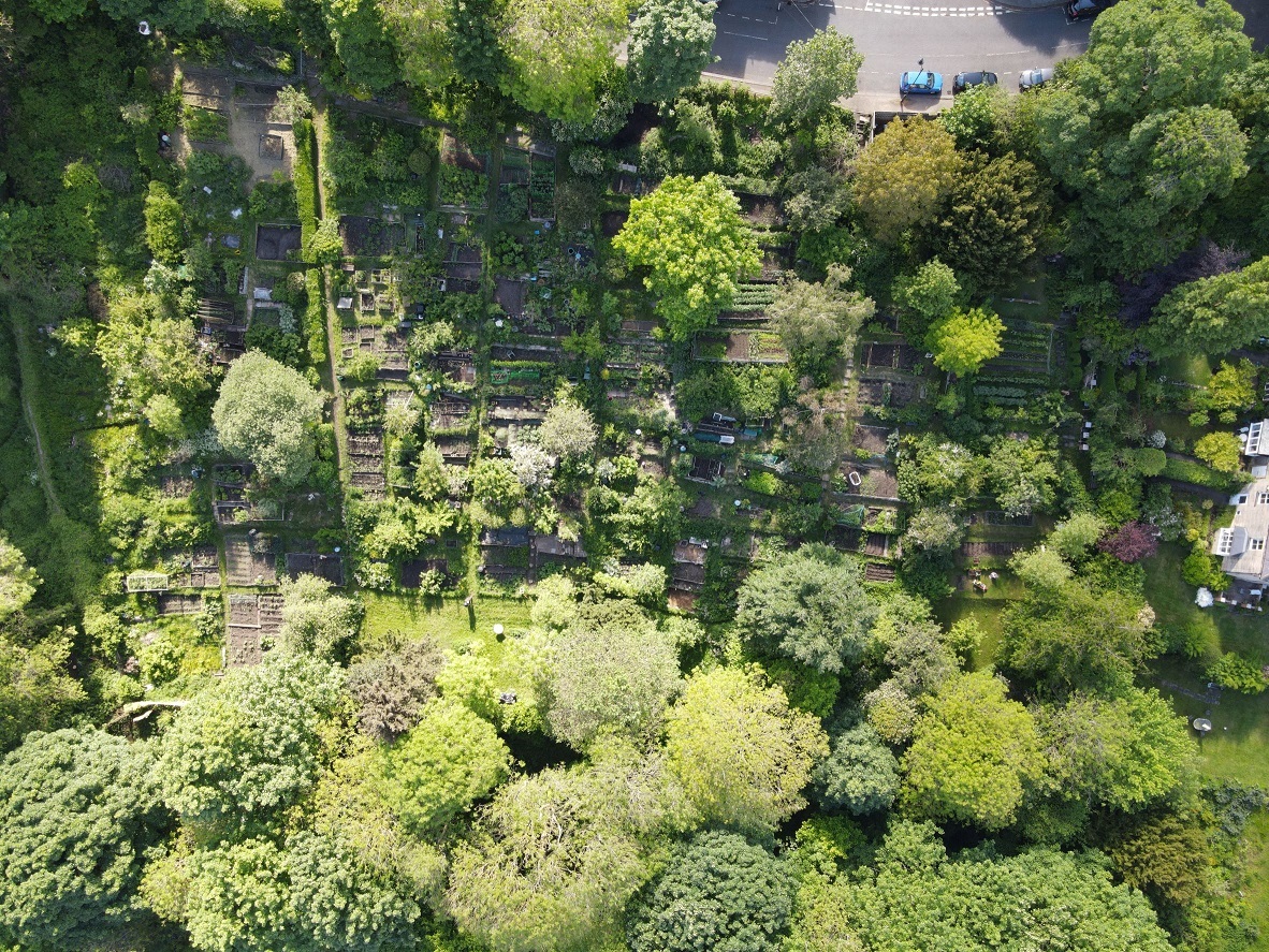 Drone view of plots and nearby areas