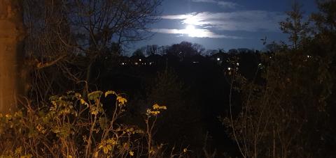 Full moon over allotment
