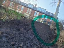 Manure and soil conditioner